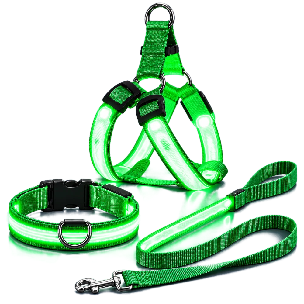 Kit LED para perros: arnés, collar y correa
