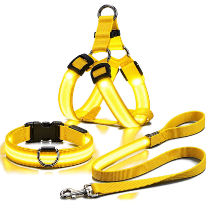 Kit LED para perros: arnés, collar y correa