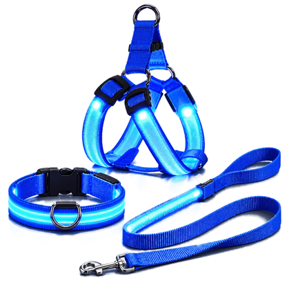 Kit LED para perros: arnés, collar y correa