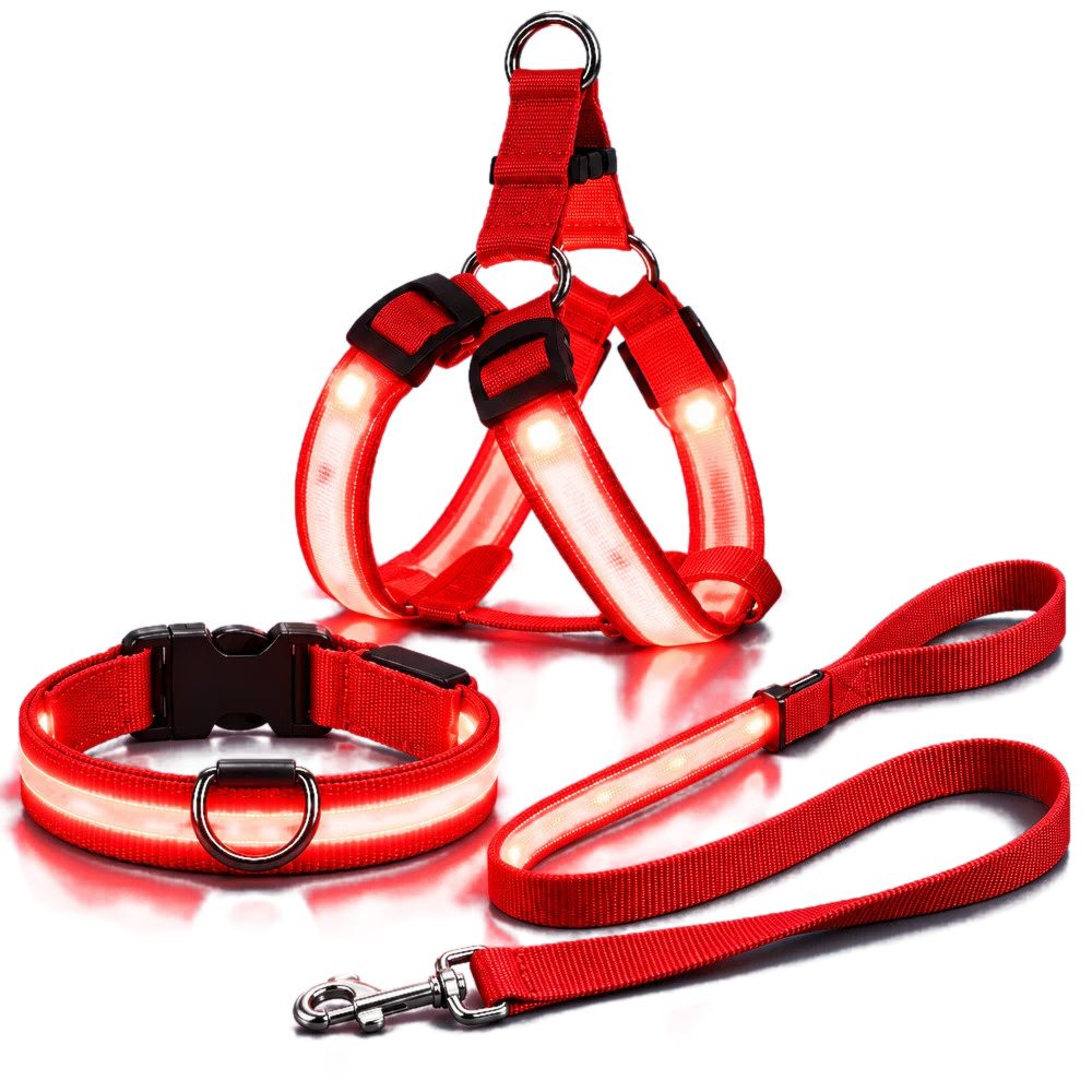 Kit LED para perros: arnés, collar y correa