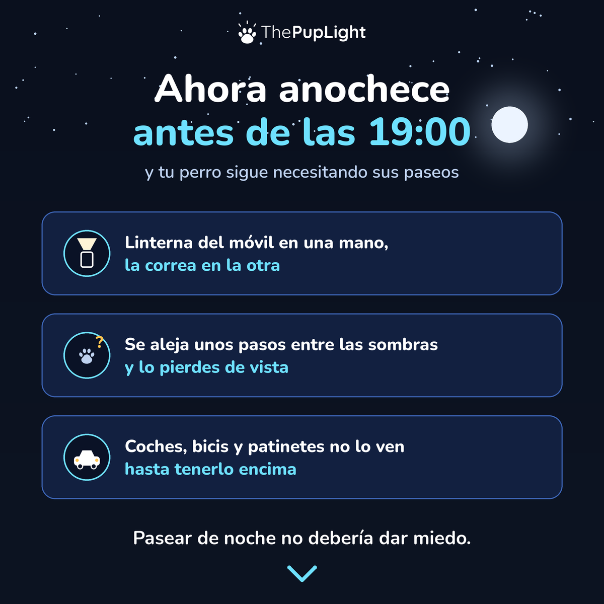 Kit LED para perros: arnés, collar y correa