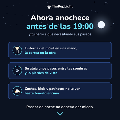 Kit LED para perros: arnés, collar y correa