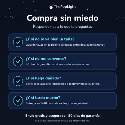 Kit LED para perros: arnés, collar y correa