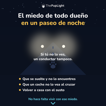 Kit LED para perros: arnés, collar y correa