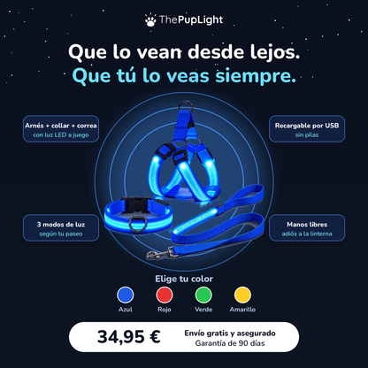 Kit LED para perros: arnés, collar y correa